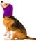 cobee Beruhigende Ohrenschützer für Hunde, Ohrenschützer für Hunde Lärmschutz Haustier Ohrenklappe Kopfwickel Ohren Kapuzenpullover zur Geräuschunterdrückung für Pflege Baden(L, Violett)