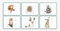 Tischsets Wrendale Garden Friends Tischsets 6er Set