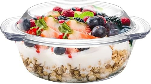 Glass Cereal Bowl Glass Soup Bowl with Handle, Clear Small Bowls with Glass Lid Oatmeal Breakfast Bowls Microwave Safe Glassware Yogurt Bowl for Dessert Pasta Rice,600ml/20 oz (Clear)