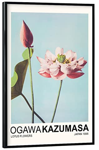artboxONE Poster mit schwarzem Rahmen 90x60 cm Natur Lotusblumen - Ogawa Kazumasa - Bild Japan Ausstellung Blumen