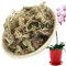 Sphagnum Moos für Pflanzen Orchideen Terrarium Blumenerde Zimmerpflanzen Feuchtigkeitsspendende Ernährung Organisches Torfmoos Organischer Dünger für Phalaenopsis 60g