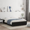 Festnight Bett mit Stauraum 120 x 200 cm Einzelbett mit Schubkästen Holzbett Kinderbett Jugendzimmer Kojenbett Stauraumbett Erwachsenenbett mit Lattenrost Schwarz
