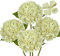 4 pezzi di ortensia fiori artificiali avorio, Ø 19 cm, ortensia come veri per bouquet da sposa, casa, ufficio, hotel, decorazione per feste, centrotavola, composizioni floreali,