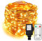 Erchen Strom-betrieben LED Lichterkette, 100 FT 300 LED 30M Stecker dimmbare Kupfer Draht Lichterketten mit 12V DC Adapter Fernbedienung für Innen Außen Weihnachten Party (warmweiß)