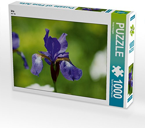 CALVENDO Puzzle Iris | 1000 Teile Lege-Größe 64 x 48 cm Foto-Puzzle für glückliche Stunden