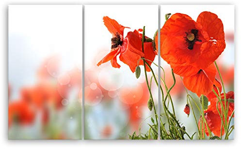 ge Bildet Bild auf Leinwand | Pflanzen-Bilder Mohn D in 165x100 cm mehrteilig als Wandbild XXL | Wand-deko Dekoration Wohnung modern Bilder | 2208