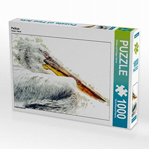 CALVENDO Puzzle Pelikan | 1000 Teile Lege-Größe 64 x 48 cm Foto-Puzzle für glückliche Stunden