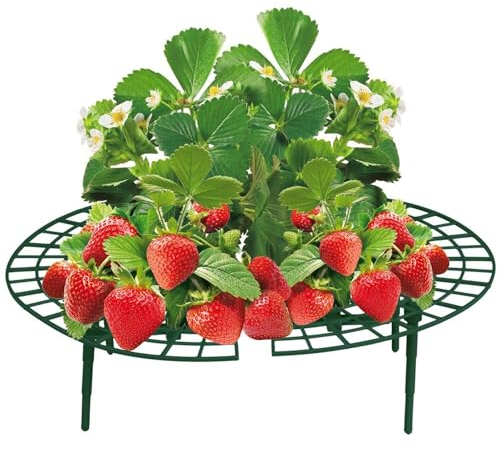 BURI 5 Stück Erdbeerreifer grün 30x9cm Kunststoff Garten Zubehör Schneckenschutz Erdbeeren Pflanzen Rankhilfe Garten Pflanzenständer Schneckenkragen Erdbeerturm Rankgitter Stütze Erdbeerschutz Schutz