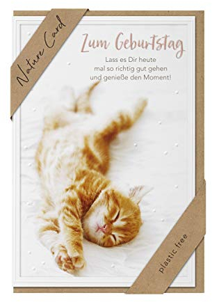 bsb - Karte zum Geburtstag - Nature Card - Nachhaltige Karten zum Geburtstag - Geburtstagskarten mit Umschlag - Geburtstagskarte Frauen & Männer - Glückwunschkarte 11,5 x 17 cm - Katzen Motiv