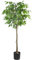 Oc'leaf Ficus Artificiel - 150cm Ficus Plante Artificielle, Plante Artificielle Interieur, Décoration de Ficus pour la Maison, Salon, Chambre, Bureau, Jardin
