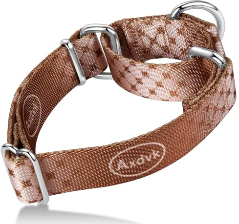 Axdvk Martingale Collier pour chien coloré dégradé tendance – Collier anti-fuite, doux et durable pour la marche, le dressage en plein air, usage quotidien, taille M, marron cowboy