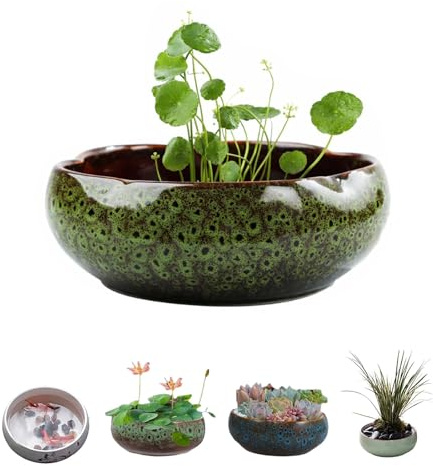 Lotus Bonsai Schale, Lotus Pflanze Keramik Blumenschale, Lotus Bowl Pflanzer, für die Wasserpflanzung im Innenbereich, Lotus-Töpfe für Wasserpflanzen, Wasserlilie, Grün Sukkulenten