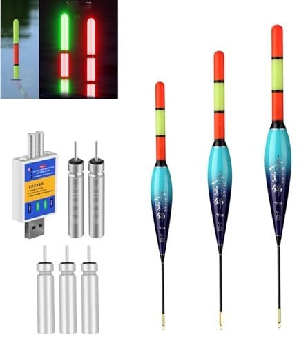 Hegawleo 2 Stück Led Posen Angeln mit CR425 Batterie Ladegerät, angelposen Mit Gravity Sensing Farbwechsel Und Kupferring, Angel Zubehör Zum Meeresfischerei Angeln Am See, Fluss Oder Teich.