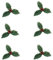 Anniversary House : Christmas Cake Decorations : 6 Pieces of Holly with Berries