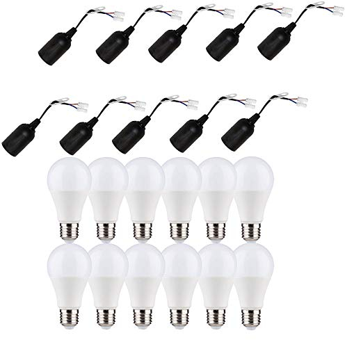 10 x Baufassung Lampenfassung Renovierfassung E27 schwarz mit Steckklemme + 12 x LED Birne A60 9W E27 matt 820lm