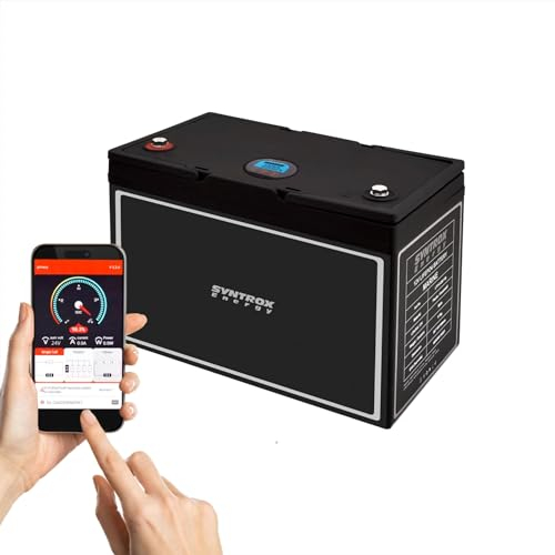 Syntrox 50Ah Lithium LiFePO4 Wohnmobil 24V Batterie, Externes Display, 2000 Zyklen Lebensdauer, Kunststoff- und Edelstahlgehäuse