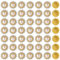 100 PCS 12mm Sew on Rhinestones Pearls with Metal Base Flower Shape Gold Flatback Rhinestones for Clothes Shoes Earring Belt Crafts Sewing Accessories