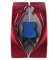 Sauna pliable cabine à chaleur Thérapeutique Spa 1000W Sauna à Vapeur,Sauna e portable,Personal Spa at home avec le contrôleur de température à distance (98x80x70cm) (Rouge)