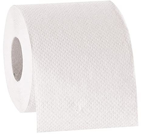 HygoClean Toilettenpapier, natur, 2-lagig, 250 Blatt 9,5x11,5cm, 8x8 Rollen, 100% Recyclingpapier