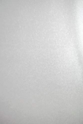 Netuno 20x Bastelkarton Perlmutt Weiß DIN A4 21 x 29,7 cm 250g Aster Metallic White Sequins Perlglanz Effektkarton farbig für Einladungen Karten dickes Papier glänzend mit Muster