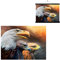 3D LiveLife Linsenförmige Wandkunst Drucke - Drei Adler von Deluxebase. Ungerahmtes 3D Vogel Poster. Perfekter Wandfüller. Original kunstwerk lizenziert von bekannt künstler, Carol Cavalaris
