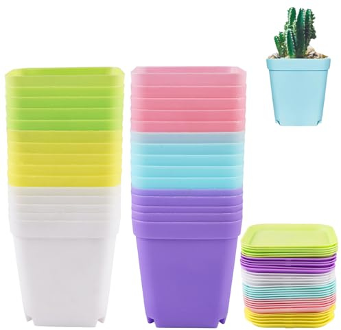 30 Piezas Macetas Pequeñas, 7 cm Macetas Plastico, Maceteros Pequeños | Maceta Plastico con Bandeja, Tiestos para Plantas Exterior para El Cultivo de Plántulas, Plantas Suculentas y Planta Pequeñas