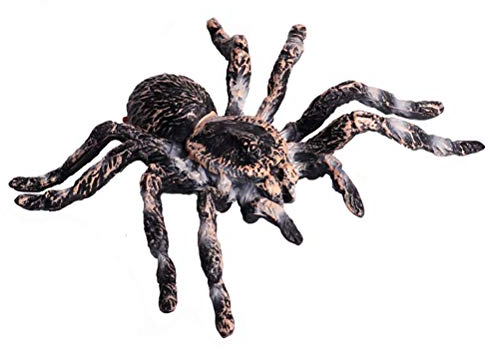 FLORMOON Spinne Spielzeug - Realistische Tierfiguren Spinne Aktionsmodell Lebensecht Insekt Spielzeugfiguren - Lernspielzeug Weihnachten Geburtstagsgeschenk für Kinder ab 3 Jahre