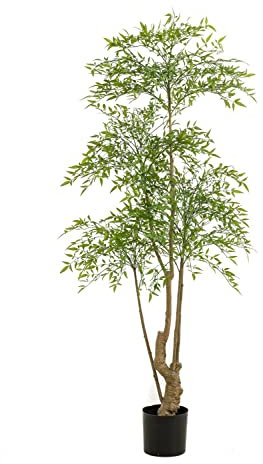 artplants.de False butcher's-broom tree KHALED, artificial trunk, green, 180 cm - Plastic tree
