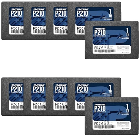 Patriot P210 SATA 3 1TB SSD 2.5 Inch Internal Solid State Drive Retail Packaged 10 Pack - P210S1TB2510