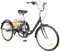 20/24 Zoll Dreirad für Erwachsene, 3-Rad-8-Gang-Seniorenfahrrad, 3-Rad-Fahrrad mit Einkaufskorb, Fahrrad mit Einkaufskorb Cargo-Bike für Erwachsene Senioren und Frauen,Höhenverstellbar (24 Schwarz)