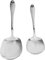 Alipis 2 Pz Cucchiaio in Acciaio Inossidabile Cucchiaini Da Tavola Cucchiaio Da Buffet Cucchiai Da Banchetto Grandi Cucchiai Da Portata Formula Cucchiaio Rocher Agitatore Silver