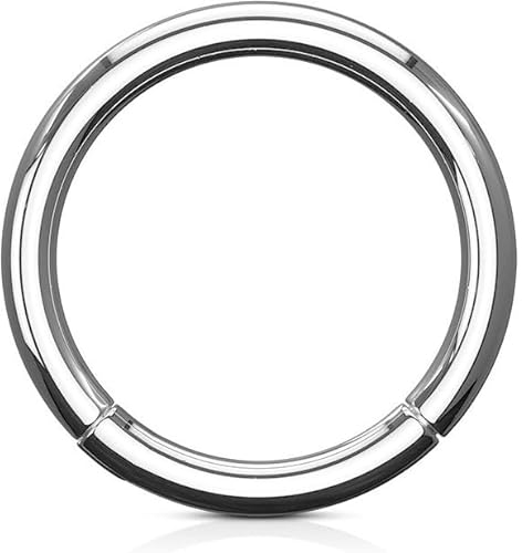 Stachelkleid Titan Clicker Ring Piercing Segmentring Silber Helix, Tragus, Ohr, Nasenring, Septum 6, 8, 10mm 0,8 mm, 8 mm