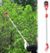 recoge fruta recogedor de frutas 1 2 3 M Agarrador De Frutas Y Recolector De Manzanas, Cesta Telescópica Para Recoger Frutas Para Aguacate Bellota Limón Pera Mango Naranjas Higos Recolector(1.8 - 3 m/