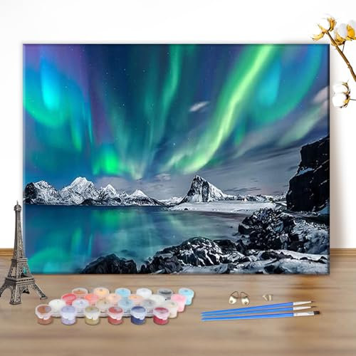 MEIYUDA Peinture par Numero Adulte, DIY Kit Peinture Aurore boréale, Pinceaux Peinture de Dessin de Pigment Acrylique, Loisirs Créatifs Adultes Decoration Maison Cadeau 50x40cm(sans Cadre)