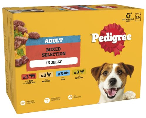 PEDIGREE Adult Dog Food Pouches Mixed Selection in Jelly 4 x 12 x 100 g