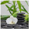 levandeo Glasbild 30 x 30 cm Bambus Orchideen Steine Wandbild Deko Relax Wellness Wanddeko Einrichtung Wohnen