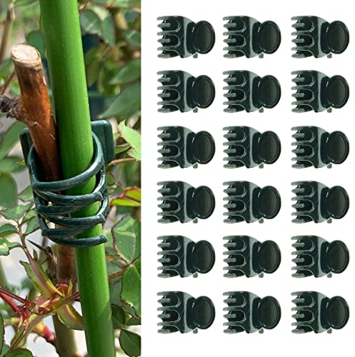 Nimomo Orchideen Clips, Pflanzen Klammern Für Orchideen Pflanzen Clip Kunststoff Pflanzen Clips für Orchideen Klein Blumenklammern Garten Pflanzenclips Zum Stützen Pflanze