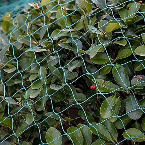 Schutznetz Katzen Balkon Ohne Bohren GemüSeschutznetz Tunnel Rasengitter Maschenweite 1.5x1.5cm Pool Netz für Garten, Balkon oder Teich Kirschbaum,10x15m