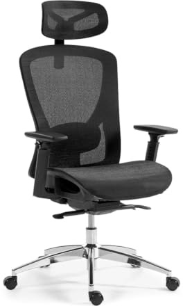 boulies EP200 Ergonomic Office Chair, Home Desk Chair, High Back Mesh Chair with Adjustable Seat Depth, Computer chair with lumbar support (Mesh, Black)