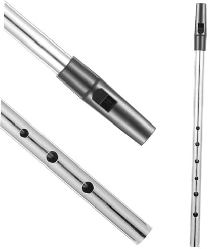 Abaodam Irische Tin Whistle Flöte c Schlüssel Metall Für Anfänger Leichtes Umweltfreundliches Blasinstrument Im Klassischen Silber Tragbar Und Langlebig Für Musikunterricht Und Rhythmusför
