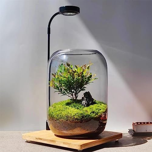 Kit per terrario natalizio, terrario per piante in vetro fai da te, vaso micro-paesaggio da 16 x 20 cm, con luce, pupazzo di neve e pino, decorazione da tavolo per casa e ufficio, Wardian, unico