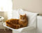 WUIIEN Hamac Lit Suspendu de Radiateur Chauffage pour Chat Panier Arbre Couverture '' Style Mouton ''