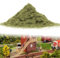 Tomedeks Simulation de Mousse Plante d'herbe | Herbe Modelisme | Herbe Statique | Static Grass Powder Model Railway Layout Grass 30 g/Sac| Fausse Herbe (Vert foncé).