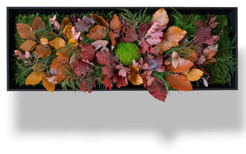 tableau végétal stabilisé AUTOMNAL sans entretien - tableau de plantes et décoration murale d'intérieur, plantes et fleurs éternels made in France