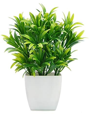 OFFIDIX Mini Plantes Artificielles Plantes en Plastique avec Vase Carré Faux Plastique Maison Plantes Vertes pour Bureau