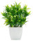 OFFIDIX Mini Plantes Artificielles Plantes en Plastique avec Vase Carré Faux Plastique Maison Plantes Vertes pour Bureau