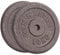 GYM MASTER Pair of Standard 1 Weight Plates in Cast Iron - 10kg