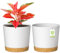 ZMTECH 25 cm Vaso Per Piante Con Foro Di Drenaggio, Vaso Di Plastica Per Piante Da Appartamento All'Aperto, Erbe, Orchidee, Piante Da Giardino Di Menta (Bianco, Set Di 2)