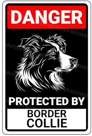 MUYIASER Schild mit Aufschrift Danger Protected By Border Collie Beware Of Dog, Aluminium-Blechschilder, Türschild, Warnschild für Zaun, Tor, Hof, Heimdekoration, 20,3 x 30,5 cm