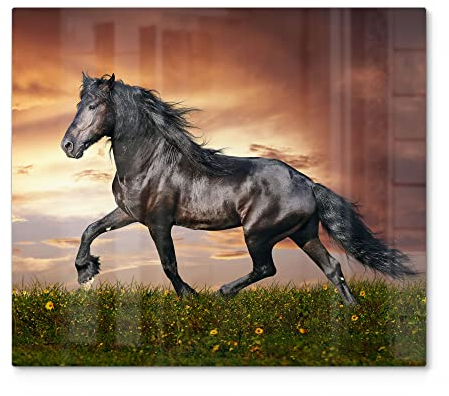 DEQORI Herdabdeckplatte Glas | einteilig 60x52 cm | Motiv Schwarze Perle Frieslands | Ceranfeld Abdeckplatte für Küche | Herd-Abdeckung universal | Glasplatte & Schneidebrett für Kochplatten